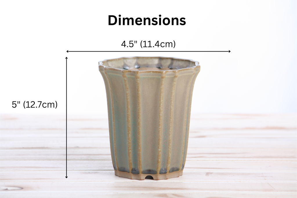 Willow Bonsai Ceramics Flower Design Cascade Bonsai Pot 4.5 Inch – Elegant Tall Ceramic Bonsai & Succulent Planter, High‑Fired Frost‑Proof Stoneware with Drainage & Wiring Holes, Handmade in USA (Speckled Moss)