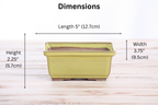 Willow Bonsai Ceramics Rectangle Deep Bonsai Pot 5 Inch – Higher‑Profile Rectangular Ceramic Bonsai & Succulent Planter with Accentuated Rim, High‑Fired Frost‑Proof Stoneware, Handmade in USA (Yellow)