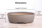 Willow Bonsai Ceramics Oval A Bonsai Pot 8 Inch – Straight‑Sided Oval Ceramic Bonsai & Succulent Planter, High‑Fired Frost‑Proof Stoneware with Drainage & Wiring Holes, Handmade in USA (Ocean)
