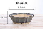Willow Bonsai Ceramics Flower Design Bonsai Pot 8 Inch – Elegant Ceramic Bonsai & Succulent Planter, High‑Fired Frost‑Proof Stoneware with Drainage & Wiring Holes, Handmade in USA (Starry Night)