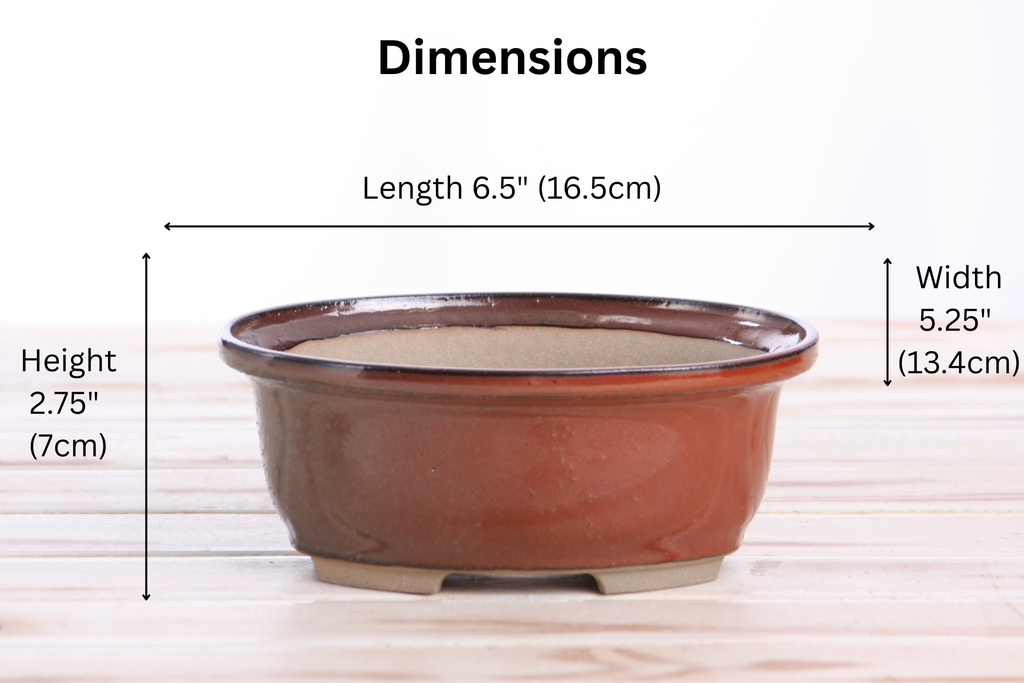 Willow Bonsai Ceramics Fat Bonsai Pot 6.5 Inch – Bold Oval Ceramic Bonsai & Succulent Planter with Accentuated Rim, High‑Fired Frost‑Proof Stoneware, Handmade in USA (Sunset)