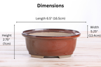 Willow Bonsai Ceramics Fat Bonsai Pot 6.5 Inch – Bold Oval Ceramic Bonsai & Succulent Planter with Accentuated Rim, High‑Fired Frost‑Proof Stoneware, Handmade in USA (Sunset)