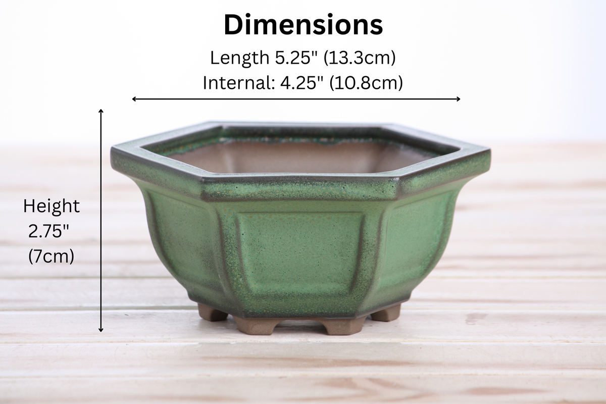 Hexagonal Windowed Semi‑Cascade Bonsai Pot 5 Inch – Ceramic Bonsai & Succulent Planter with Detailed Rim, High‑Fired Frost‑Proof Stoneware, Handmade in USA (Avocado)