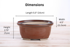 Willow Bonsai Ceramics Fat Bonsai Pot 5.5 Inch – Bold Oval Ceramic Bonsai & Succulent Planter with Accentuated Rim, High‑Fired Frost‑Proof Stoneware, Handmade in USA (Sunset)