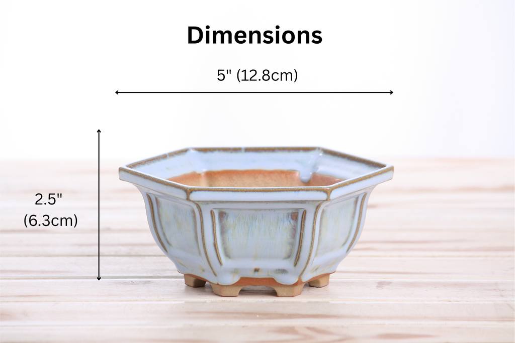 Willow Bonsai Ceramics Hexagonal Windowed Bonsai Pot 5 Inch – Semi‑Cascade Planter, High‑Fired Frost‑Proof Stoneware with Drainage & Wiring Holes, Handmade in USA (Glacier)