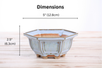 Willow Bonsai Ceramics Hexagonal Windowed Bonsai Pot 5 Inch – Semi‑Cascade Planter, High‑Fired Frost‑Proof Stoneware with Drainage & Wiring Holes, Handmade in USA (Glacier)