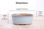 Willow Bonsai Ceramics Oval A Bonsai Pot 6 Inch – Straight‑Sided Oval Ceramic Bonsai & Succulent Planter, High‑Fired Frost‑Proof Stoneware with Drainage & Wiring Holes, Handmade in USA (Glacier)