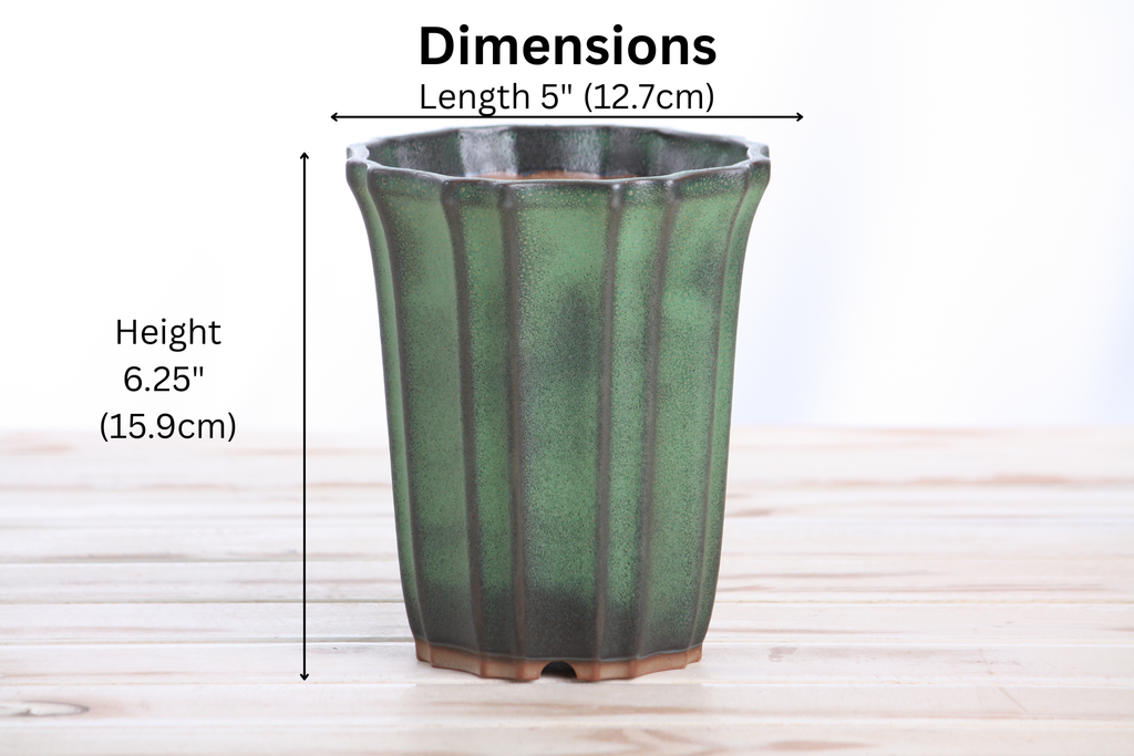 Willow Bonsai Ceramics Flower Design Cascade Bonsai Pot 5 Inch – Elegant Tall Ceramic Bonsai & Succulent Planter, High‑Fired Frost‑Proof Stoneware with Drainage & Wiring Holes, Handmade in USA (Avocado)