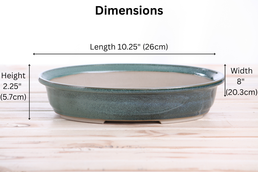 Willow Bonsai Ceramics Landscape Oval A Bonsai Pot 10 Inch – Large Oval Ceramic Bonsai Planter for Forest, Group & Specimen Tree Plantings, High‑Fired Frost‑Proof Stoneware, Handmade in USA (Seaweed 2025)