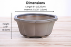 Lotus A Bonsai Pot 6 Inch – Semi‑Cascade Ceramic Planter with Scalloped Sides, High‑Fired Frost‑Proof Stoneware, Handmade in USA (Ocean)