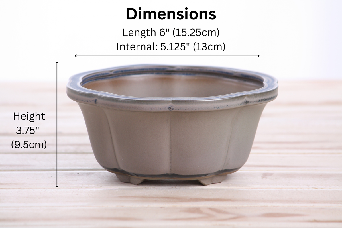 Lotus A Bonsai Pot 6 Inch – Semi‑Cascade Ceramic Planter with Scalloped Sides, High‑Fired Frost‑Proof Stoneware, Handmade in USA (Ocean)