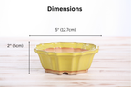 Willow Bonsai Ceramics Flower Design Bonsai Pot 5 Inch – Elegant Ceramic Bonsai & Succulent Planter, High‑Fired Frost‑Proof Stoneware with Drainage & Wiring Holes, Handmade in USA (Yellow)