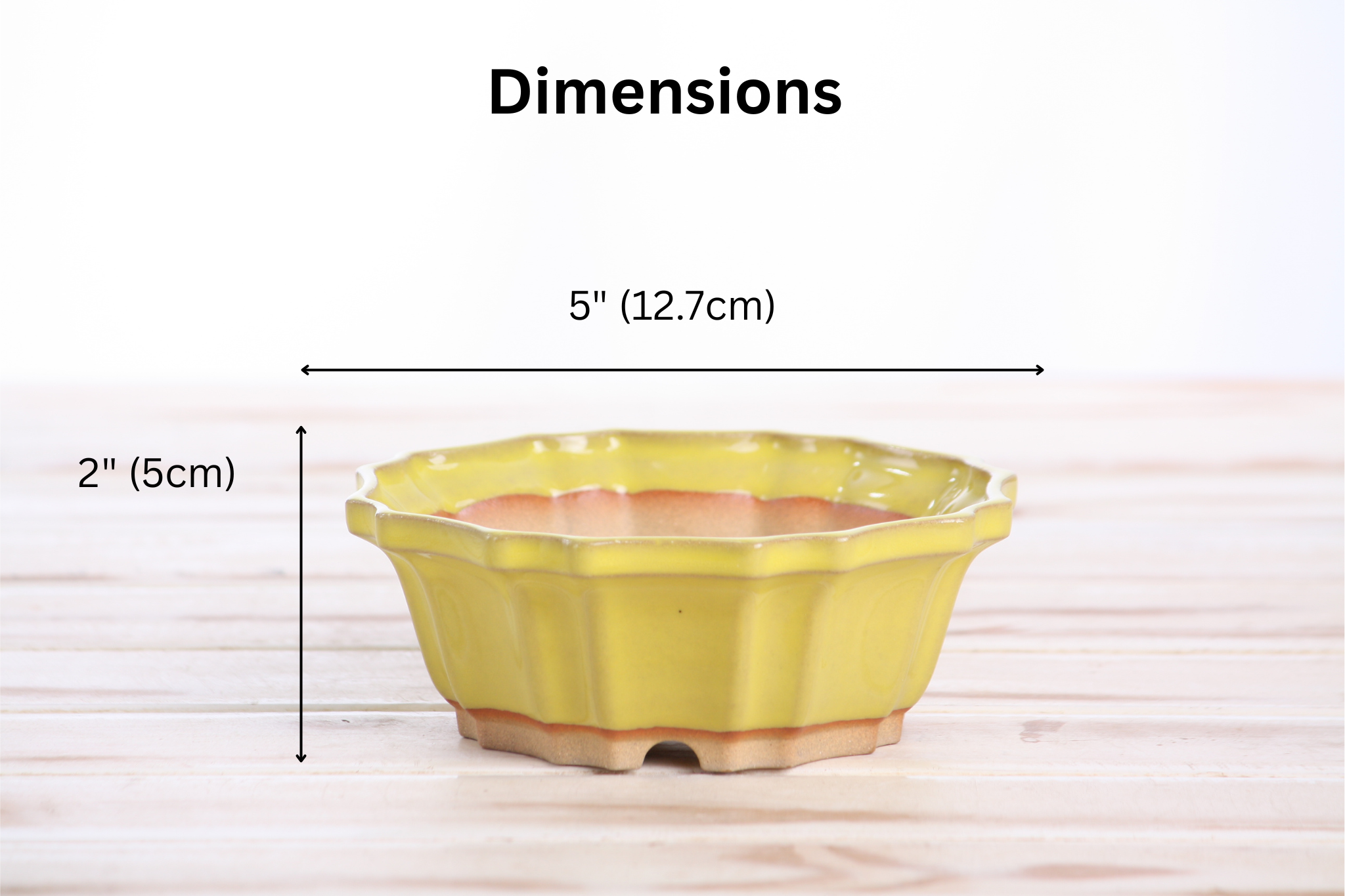 Willow Bonsai Ceramics Flower Design Bonsai Pot 5 Inch – Elegant Ceramic Bonsai & Succulent Planter, High‑Fired Frost‑Proof Stoneware with Drainage & Wiring Holes, Handmade in USA (Yellow)