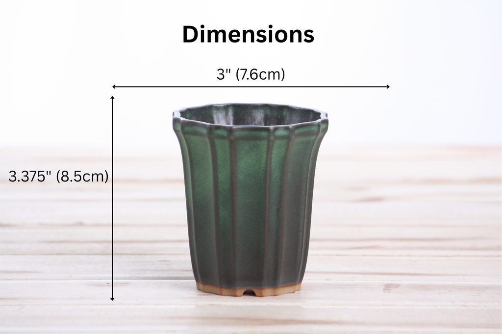 Willow Bonsai Ceramics Flower Design Cascade Bonsai Pot 3 Inch – Elegant Tall Ceramic Bonsai & Succulent Planter, High‑Fired Frost‑Proof Stoneware with Drainage & Wiring Holes, Handmade in USA (Avocado)