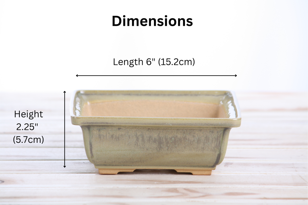 Willow Bonsai Ceramics Square Bonsai Pot 6 Inch – Low‑Profile Square Ceramic Bonsai & Succulent Planter with Accentuated Rim, High‑Fired Frost‑Proof Stoneware, Handmade in USA (Copenhagen)