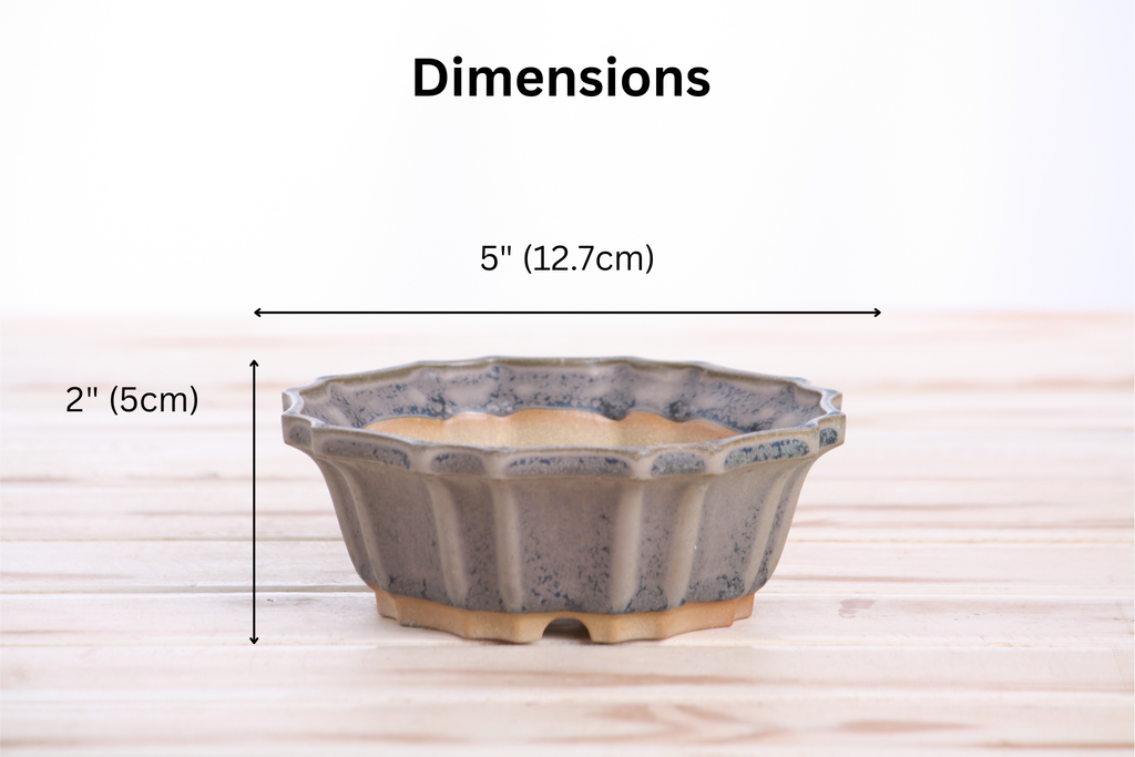 Willow Bonsai Ceramics Flower Design Bonsai Pot 5 Inch – Elegant Ceramic Bonsai & Succulent Planter, High‑Fired Frost‑Proof Stoneware with Drainage & Wiring Holes, Handmade in USA (Ocean)