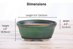 Willow Bonsai Ceramics Oval B Bonsai Pot 5.5 Inch – Tapered Oval Ceramic Bonsai & Succulent Planter with Accentuated Rim, High‑Fired Frost‑Proof Stoneware, Handmade in USA (Avocado)