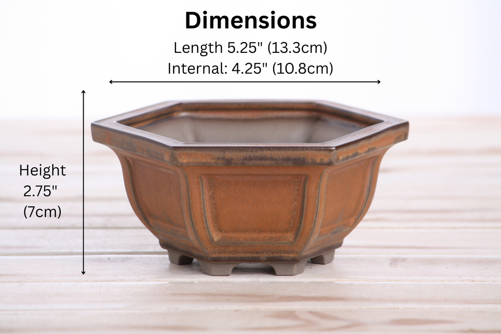 Hexagonal Windowed Semi‑Cascade Bonsai Pot 5 Inch – Ceramic Bonsai & Succulent Planter with Detailed Rim, High‑Fired Frost‑Proof Stoneware, Handmade in USA (Deep Stone)