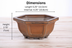 Hexagonal Windowed Semi‑Cascade Bonsai Pot 5 Inch – Ceramic Bonsai & Succulent Planter with Detailed Rim, High‑Fired Frost‑Proof Stoneware, Handmade in USA (Deep Stone)