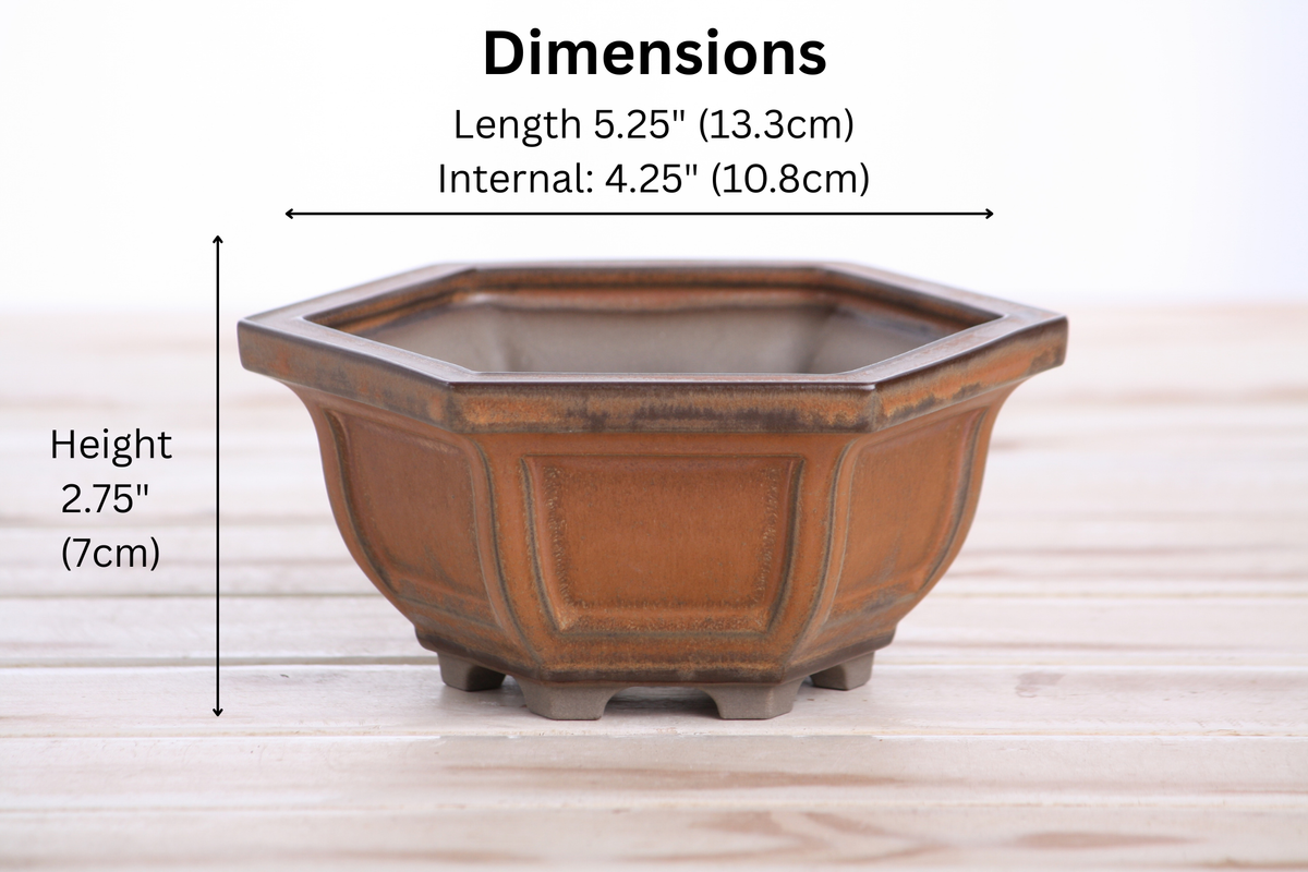 Hexagonal Windowed Semi‑Cascade Bonsai Pot 5 Inch – Ceramic Bonsai & Succulent Planter with Detailed Rim, High‑Fired Frost‑Proof Stoneware, Handmade in USA (Deep Stone)