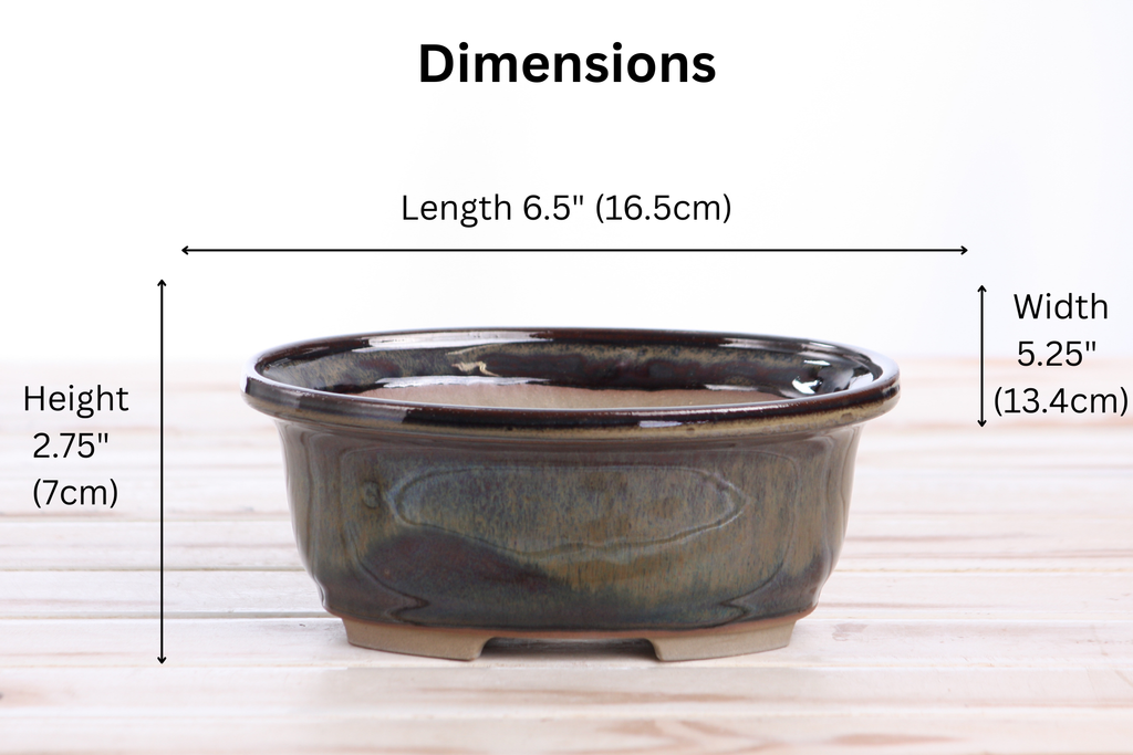 Willow Bonsai Ceramics Fat Bonsai Pot 6.5 Inch – Bold Oval Ceramic Bonsai & Succulent Planter with Accentuated Rim, High‑Fired Frost‑Proof Stoneware, Handmade in USA (Dark Honey)