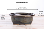 Willow Bonsai Ceramics Fat Bonsai Pot 6.5 Inch – Bold Oval Ceramic Bonsai & Succulent Planter with Accentuated Rim, High‑Fired Frost‑Proof Stoneware, Handmade in USA (Dark Honey)