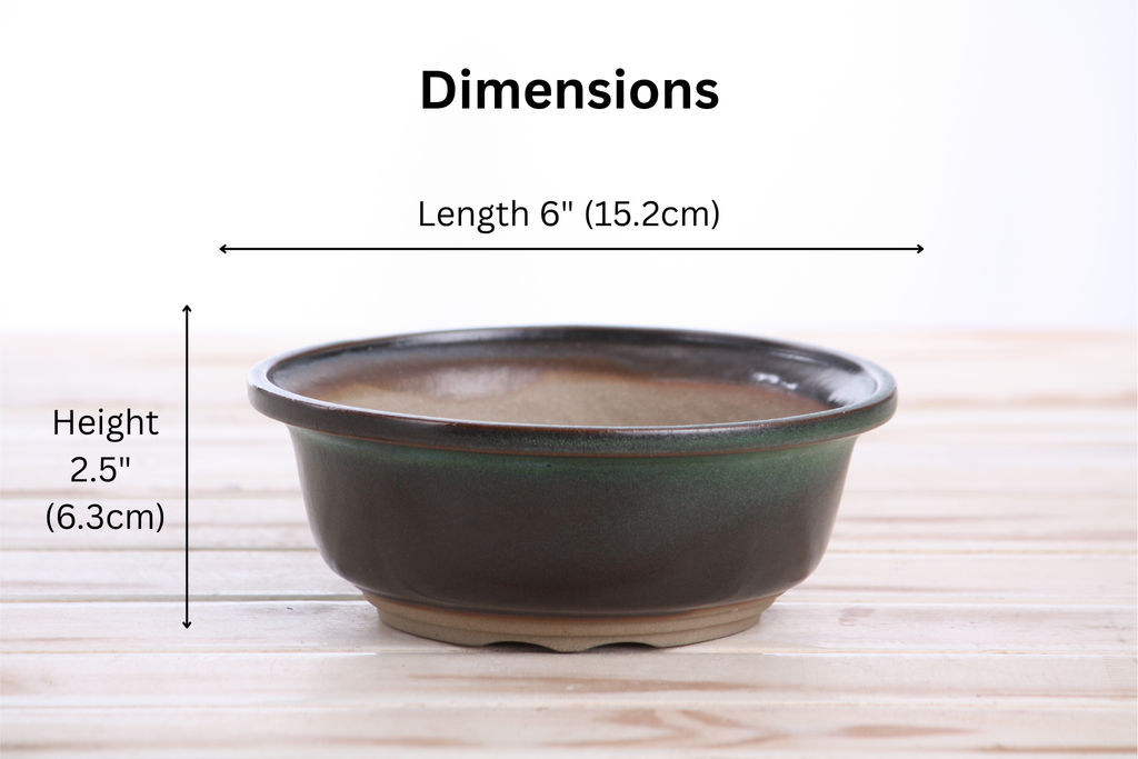 Willow Bonsai Ceramics Round Bonsai Pot 6 Inch – Round Ceramic Bonsai & Succulent Planter with Accentuated Rim and Sculpted Foot Ring, High‑Fired Frost‑Proof Stoneware, Handmade in USA (Avocado)
