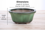 Lotus A Bonsai Pot 6 Inch – Semi‑Cascade Ceramic Planter with Scalloped Sides, High‑Fired Frost‑Proof Stoneware, Handmade in USA (Avocado)