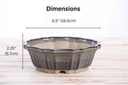 Willow Bonsai Ceramics Flower Design Bonsai Pot 6.5 Inch – Elegant Ceramic Bonsai & Succulent Planter, High‑Fired Frost‑Proof Stoneware with Drainage & Wiring Holes, Handmade in USA (Starry Night)