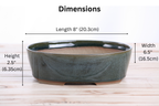 Willow Bonsai Ceramics Oval A Bonsai Pot 8 Inch – Straight‑Sided Oval Ceramic Bonsai & Succulent Planter, High‑Fired Frost‑Proof Stoneware with Drainage & Wiring Holes, Handmade in USA (Seaweed 2025)