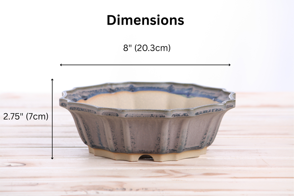 Willow Bonsai Ceramics Flower Design Bonsai Pot 8 Inch – Elegant Ceramic Bonsai & Succulent Planter, High‑Fired Frost‑Proof Stoneware with Drainage & Wiring Holes, Handmade in USA (Ocean)