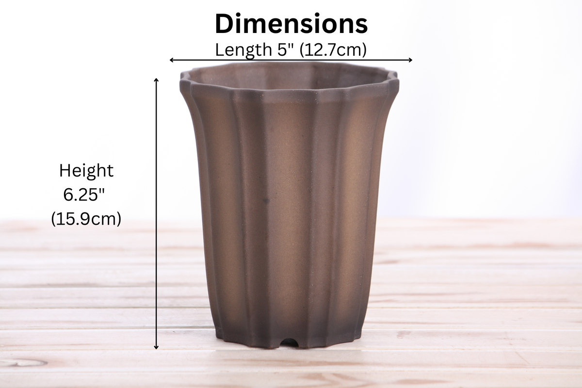 Willow Bonsai Ceramics Flower Design Cascade Bonsai Pot 5 Inch – Elegant Tall Ceramic Bonsai & Succulent Planter, High‑Fired Frost‑Proof Stoneware with Drainage & Wiring Holes, Handmade in USA (Shaded Unglazed)