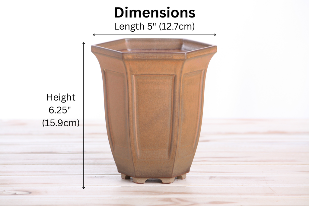 Willow Bonsai Ceramics Hexagonal Windowed Cascade Bonsai Pot 5 Inch – Tall Ceramic Cascade Planter, High‑Fired Frost‑Proof Stoneware with Drainage & Wiring Holes, Handmade in USA (Deep Stone)