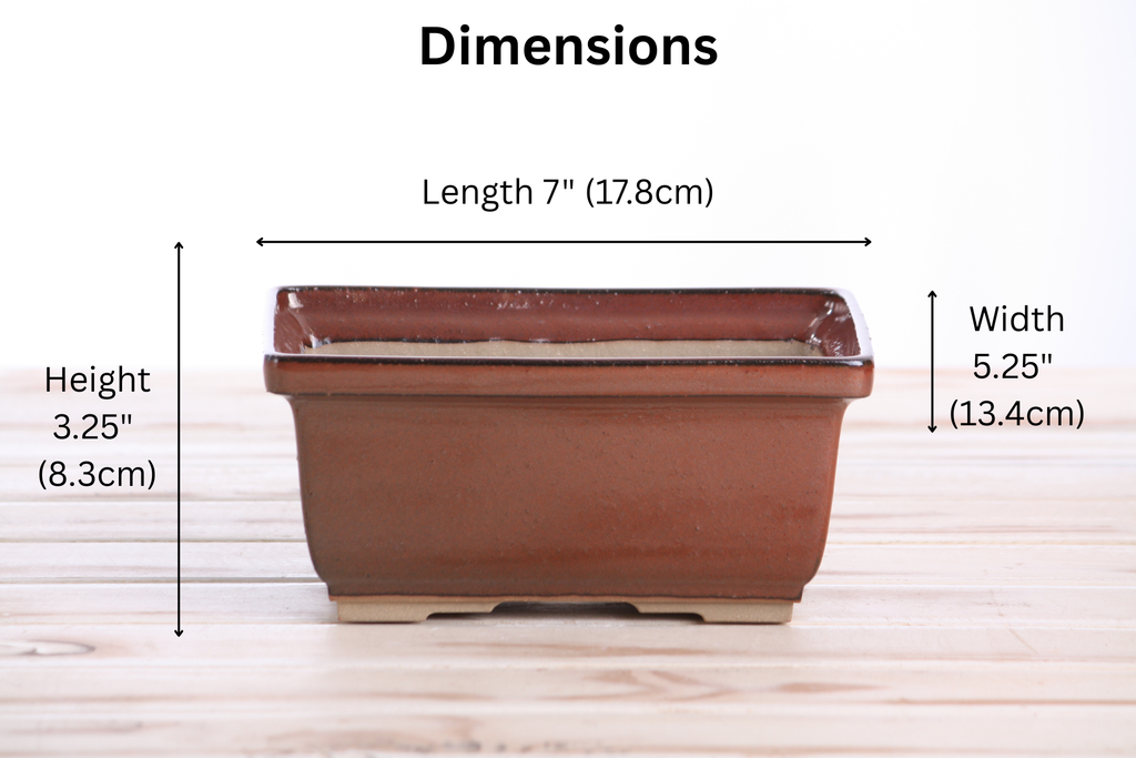Willow Bonsai Ceramics Rectangle Deep Bonsai Pot 7 Inch – Higher‑Profile Rectangular Ceramic Bonsai & Succulent Planter with Accentuated Rim, High‑Fired Frost‑Proof Stoneware, Handmade in USA (Sunset)