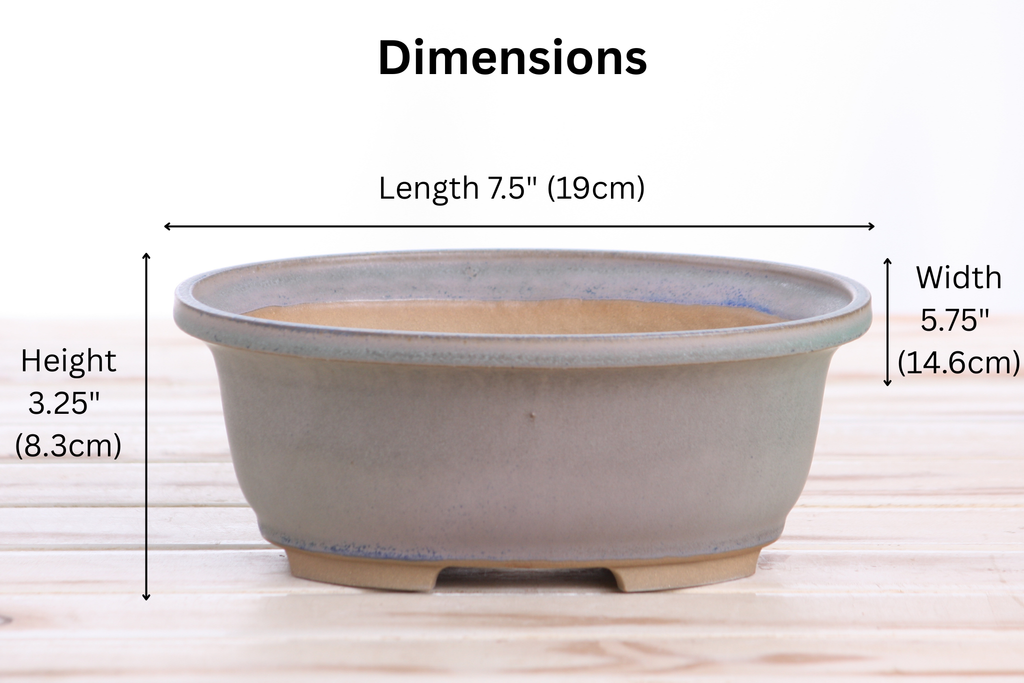 Willow Bonsai Ceramics Fat Bonsai Pot 7.5 Inch – Bold Oval Ceramic Bonsai & Succulent Planter with Accentuated Rim, High‑Fired Frost‑Proof Stoneware, Handmade in USA (Ocean)
