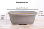 Willow Bonsai Ceramics Fat Bonsai Pot 7.5 Inch – Bold Oval Ceramic Bonsai & Succulent Planter with Accentuated Rim, High‑Fired Frost‑Proof Stoneware, Handmade in USA (Ocean)
