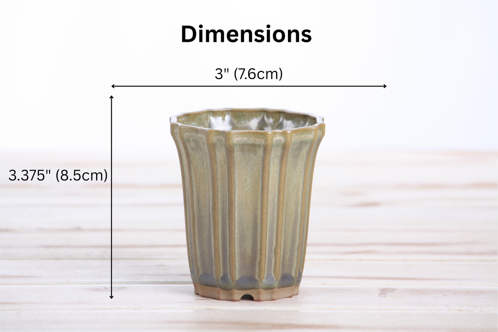 Willow Bonsai Ceramics Flower Design Cascade Bonsai Pot 3 Inch – Elegant Tall Ceramic Bonsai & Succulent Planter, High‑Fired Frost‑Proof Stoneware with Drainage & Wiring Holes, Handmade in USA (Copenhagen)