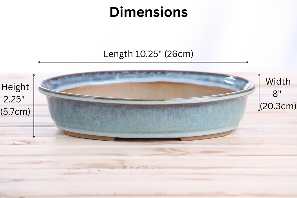 Willow Bonsai Ceramics Landscape Oval A Bonsai Pot 10 Inch – Large Oval Ceramic Bonsai Planter for Forest, Group & Specimen Tree Plantings, High‑Fired Frost‑Proof Stoneware, Handmade in USA (Glacier)