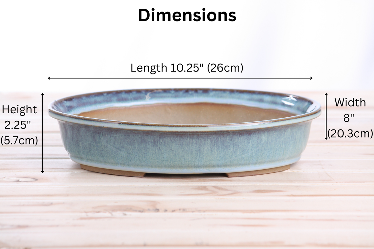 Willow Bonsai Ceramics Landscape Oval A Bonsai Pot 10 Inch – Large Oval Ceramic Bonsai Planter for Forest, Group & Specimen Tree Plantings, High‑Fired Frost‑Proof Stoneware, Handmade in USA (Glacier)