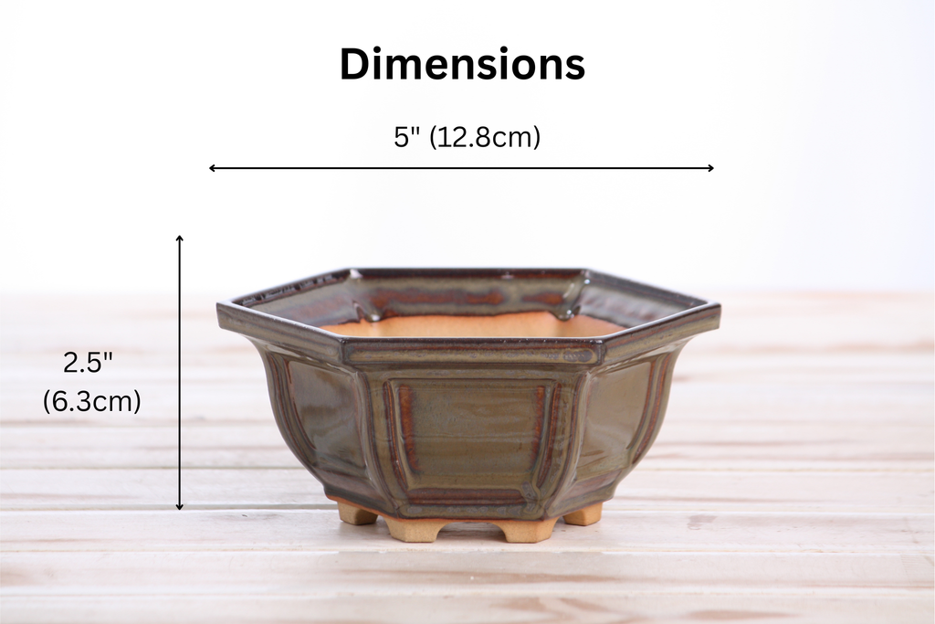 Willow Bonsai Ceramics Hexagonal Windowed Bonsai Pot 5 Inch – Semi‑Cascade Planter, High‑Fired Frost‑Proof Stoneware with Drainage & Wiring Holes, Handmade in USA (Dark Honey)