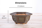 Willow Bonsai Ceramics Hexagonal Windowed Bonsai Pot 5 Inch – Semi‑Cascade Planter, High‑Fired Frost‑Proof Stoneware with Drainage & Wiring Holes, Handmade in USA (Dark Honey)