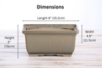 Willow Bonsai Ceramics Rectangle Deep Bonsai Pot 6 Inch – Higher‑Profile Rectangular Ceramic Bonsai & Succulent Planter with Accentuated Rim, High‑Fired Frost‑Proof Stoneware, Handmade in USA (Speckled Moss)
