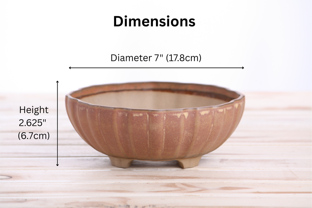 Willow Bonsai Ceramics Lily Bonsai Pot 7 Inch – Sculpted Rounded Ceramic Bonsai & Succulent Planter with Wavy Profile, High‑Fired Frost‑Proof Stoneware, Handmade in USA (Deep Stone)