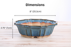 Willow Bonsai Ceramics Flower Design Bonsai Pot 8 Inch – Elegant Ceramic Bonsai & Succulent Planter, High‑Fired Frost‑Proof Stoneware with Drainage & Wiring Holes, Handmade in USA (Peacock 2025)