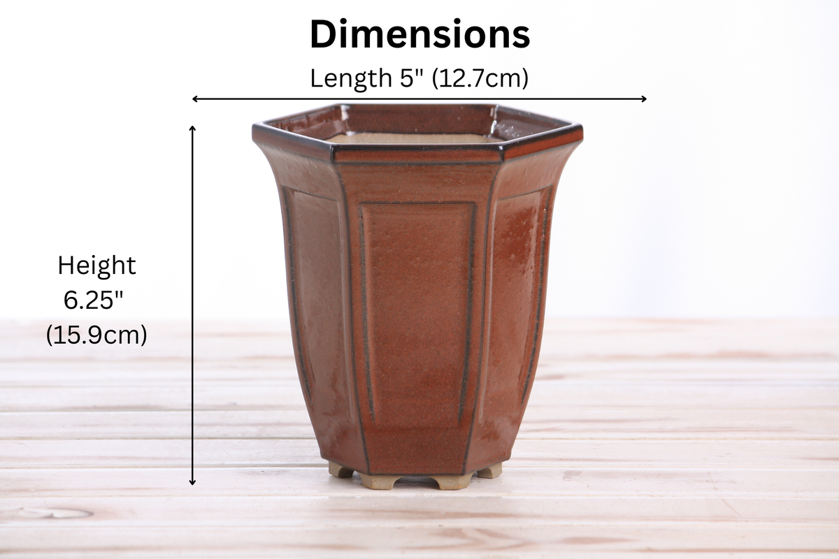 Willow Bonsai Ceramics Hexagonal Windowed Cascade Bonsai Pot 5 Inch – Tall Ceramic Cascade Planter, High‑Fired Frost‑Proof Stoneware with Drainage & Wiring Holes, Handmade in USA (Sunset)