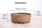 Willow Bonsai Ceramics Oval A Bonsai Pot 6 Inch – Straight‑Sided Oval Ceramic Bonsai & Succulent Planter, High‑Fired Frost‑Proof Stoneware with Drainage & Wiring Holes, Handmade in USA (Deep Stone)