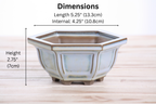 Hexagonal Windowed Semi‑Cascade Bonsai Pot 5 Inch – Ceramic Bonsai & Succulent Planter with Detailed Rim, High‑Fired Frost‑Proof Stoneware, Handmade in USA (Glacier)
