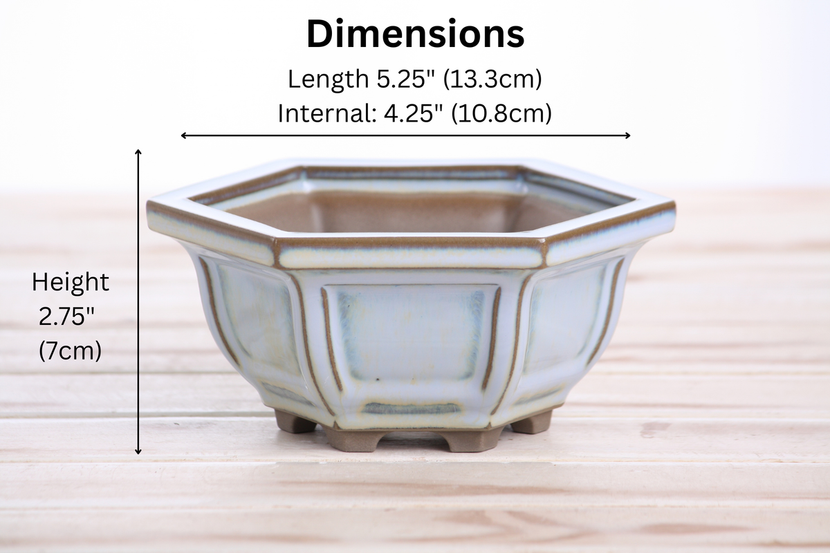 Hexagonal Windowed Semi‑Cascade Bonsai Pot 5 Inch – Ceramic Bonsai & Succulent Planter with Detailed Rim, High‑Fired Frost‑Proof Stoneware, Handmade in USA (Glacier)