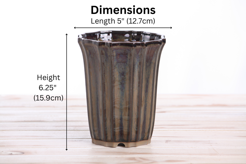 Willow Bonsai Ceramics Flower Design Cascade Bonsai Pot 5 Inch – Elegant Tall Ceramic Bonsai & Succulent Planter, High‑Fired Frost‑Proof Stoneware with Drainage & Wiring Holes, Handmade in USA (Dark Honey)
