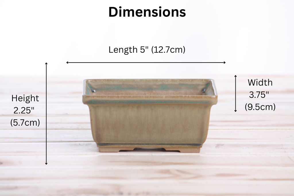 Willow Bonsai Ceramics Rectangle Deep Bonsai Pot 5 Inch – Higher‑Profile Rectangular Ceramic Bonsai & Succulent Planter with Accentuated Rim, High‑Fired Frost‑Proof Stoneware, Handmade in USA (Speckled Moss)